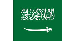 [domain] Saudi-Arabien Flag